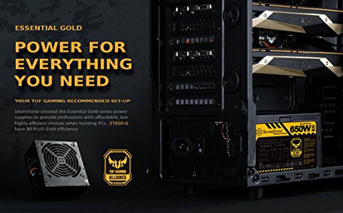 SilverStone Technology SST-ET650-G v1.2 - Serie Strider Essential, 650W 80 Plus Gold ATX PC Fuente de alimentación, 120mm, EPS Dual de 8 Pines con Soporte para múltiples Conectores PCI-E 8/6 Pines
