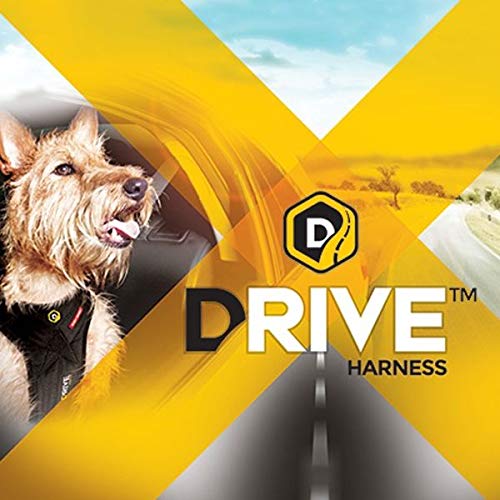 Ezydog Drive Arnés De Coche para Perro, Cinturón De Seguridad para Perros, Multifunción, Ajustable, Arnés De Chaleco De Viaje (L, Negro)