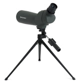 Celestron
