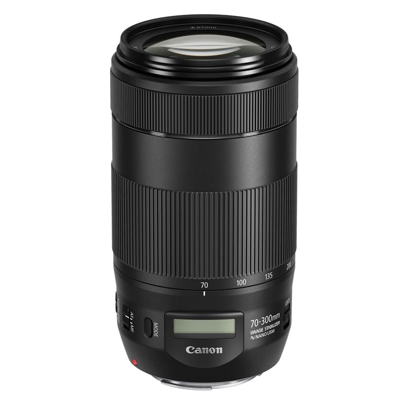 Canon EF 70-300 mm - Objetivo EF 70-300 mm F4-5,6 IS II USM, Negro