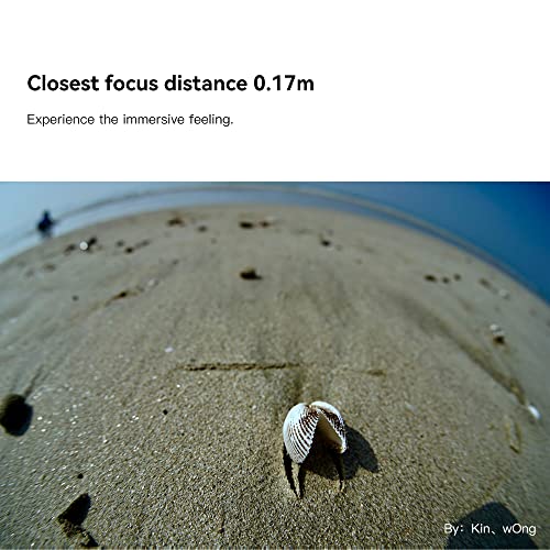 TT Artisan - Lente Ojo de pez de 11 mm f 2.8 conexión Sony E Mount Lente Ultra Gran Angular para Formato Completo en Carcasa de Aluminio, ángulo de Imagen de 180 Grados, 11 mm, F2.8, Negro