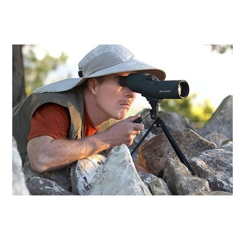 Celestron