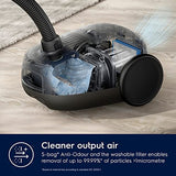 ELECTROLUX EB61A5UG, Aspirador Trineo con Bolsa, Urban Grey