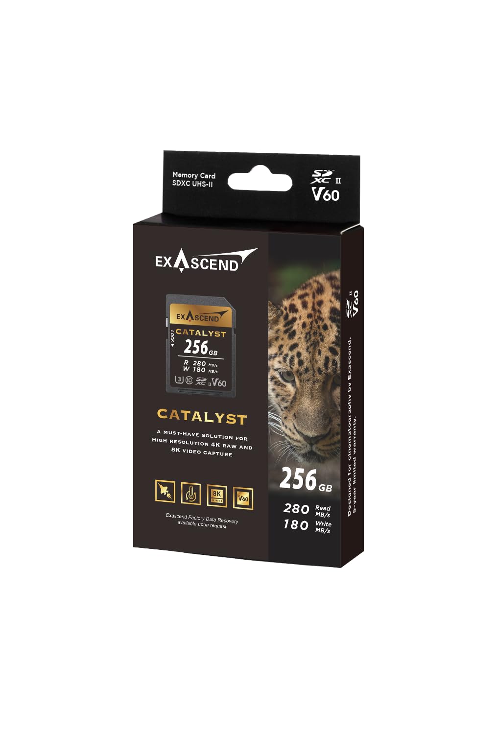 Exascend Catalyst - Tarjeta de Memoria SDXC UHS-II V60 de 256 GB 4K UHD de hasta 180 MB/s velocidades de Escritura, UHS-II, Clase 10, U3, V60