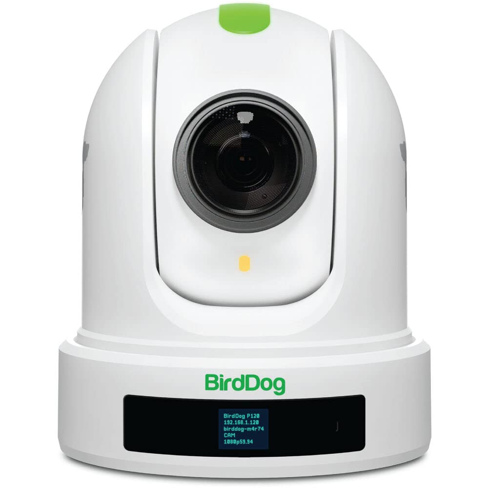 BirdDog P120 PTZ Camera 1080P with 20x Zoom, OLED Screen