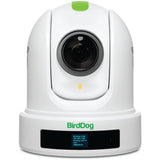 BirdDog P120 PTZ Camera 1080P with 20x Zoom, OLED Screen