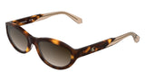 CALVIN KLEIN JEANS CKJ25618S Sunglasses, Havana, Talla única para Mujer