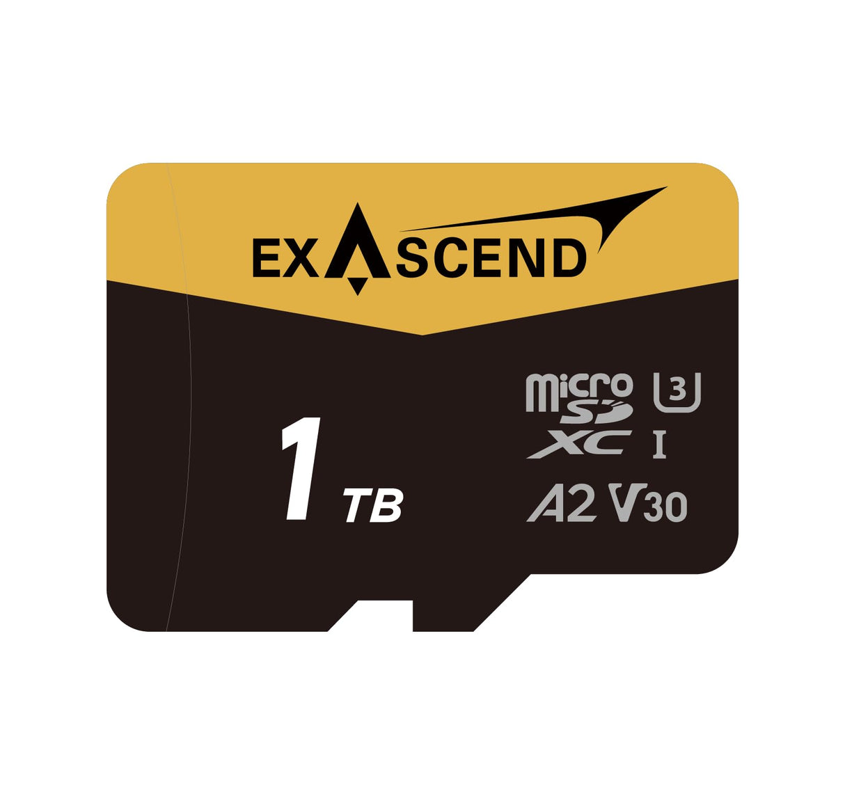 Exascend Catalyst - Tarjeta microSD de 1 TB (UHS-I V30) - Tarjeta de Memoria de Alto Rendimiento para vídeo 4K, Drones, cámaras de acción y Dispositivos móviles, máxima Capacidad y Alta fiabilidad