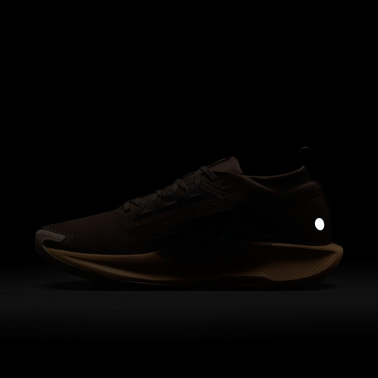 NIKE Pegasus Trail 5 Gore-Tex, Sneaker Mujer, Mink Brown Cannon Orange Chalk, 39 EU