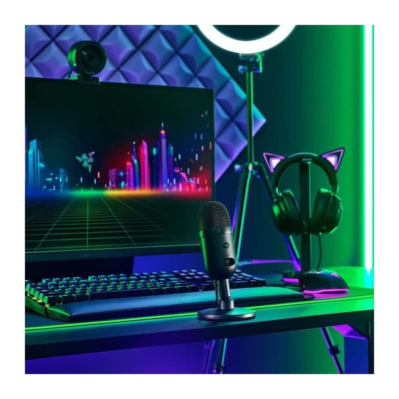 Razer Seiren V2 X - USB-Mikrofon für Streamer (25-mm Mikrofon, Supernieren-Richtcharakteristik, Verstärkungsbegrenzer, Mikrofonüberwachung, Schockdämpfer) Noir