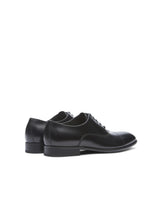 Lottusse Oxford Negros De Vacuno Semi-Brillante