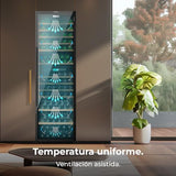 Cecotec Vinoteca 176 Botellas Bolero GrandSommelier Duo 176000 Black. Temperatura Dual, Protección UV, Alarma Temperatura, Filtro Carbón, Puerta Reversible, LED, Compresor Eficiente