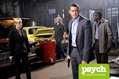 Psych - Die komplette Serie/Staffel 1-8 [Alemania] [DVD]