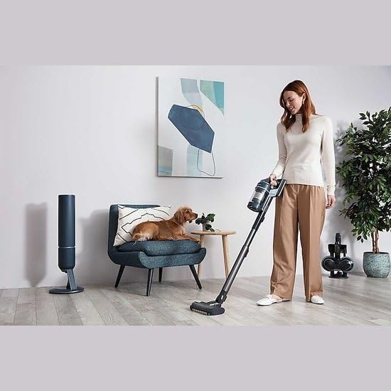 Samsung VS20B95973B/WA VS20B95973B/WA-Limpiador de vacío inalámbrico, Divers