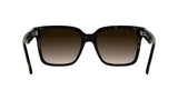CALVIN KLEIN JEANS CKJ25624S Sunglasses, Dark Havana, Talla única para Mujer