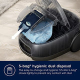 ELECTROLUX EB61A5UG, Aspirador Trineo con Bolsa, Urban Grey