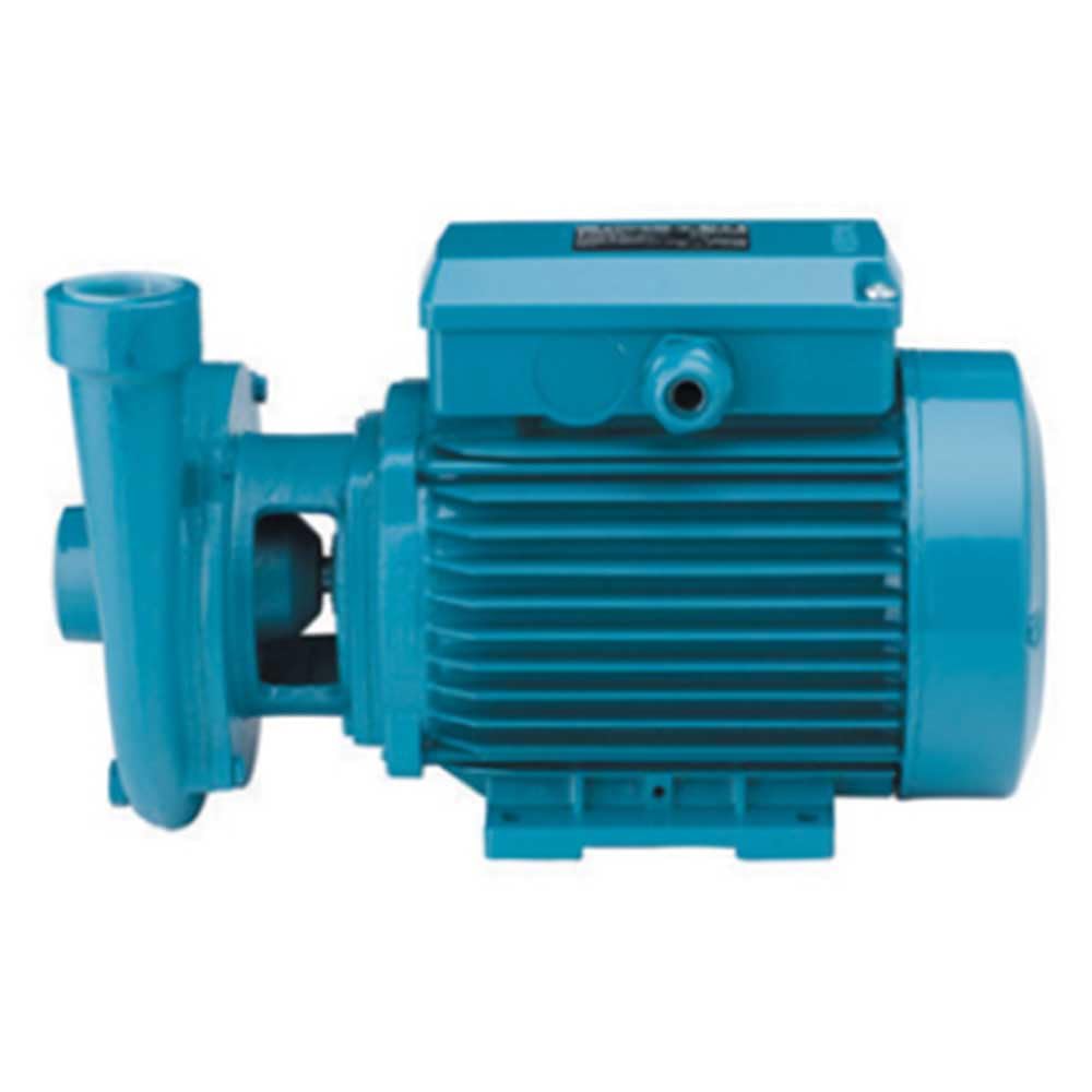 VITRIFRIGO NV-088 Bomba Agua DE Marina 230V/1ph/50Hz-CALPEDA B-CM20E 1/2HP, Unisex-Adult, Multicolor