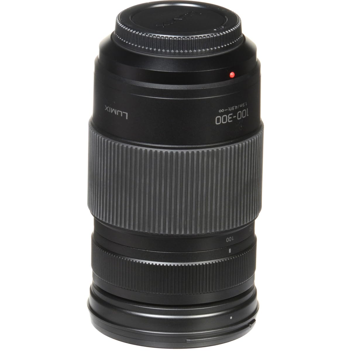 Panasonic LUMIX G II - Lente Vario, 100-300 mm, Micro Cuatro tercios, sin Espejo, Power O.I.S, H-FSA100300 (Negro de Estados Unidos)