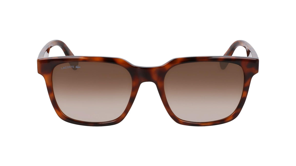 Lacoste Gafas de Sol L6028S 214 HAVANA 54/19/145 Hombre