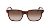 Lacoste Gafas de Sol L6028S 214 HAVANA 54/19/145 Hombre