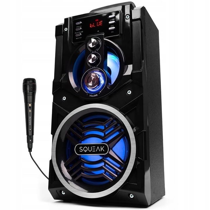 Altavoz Bluetooth Portátil SQ1000 Negro 20 W