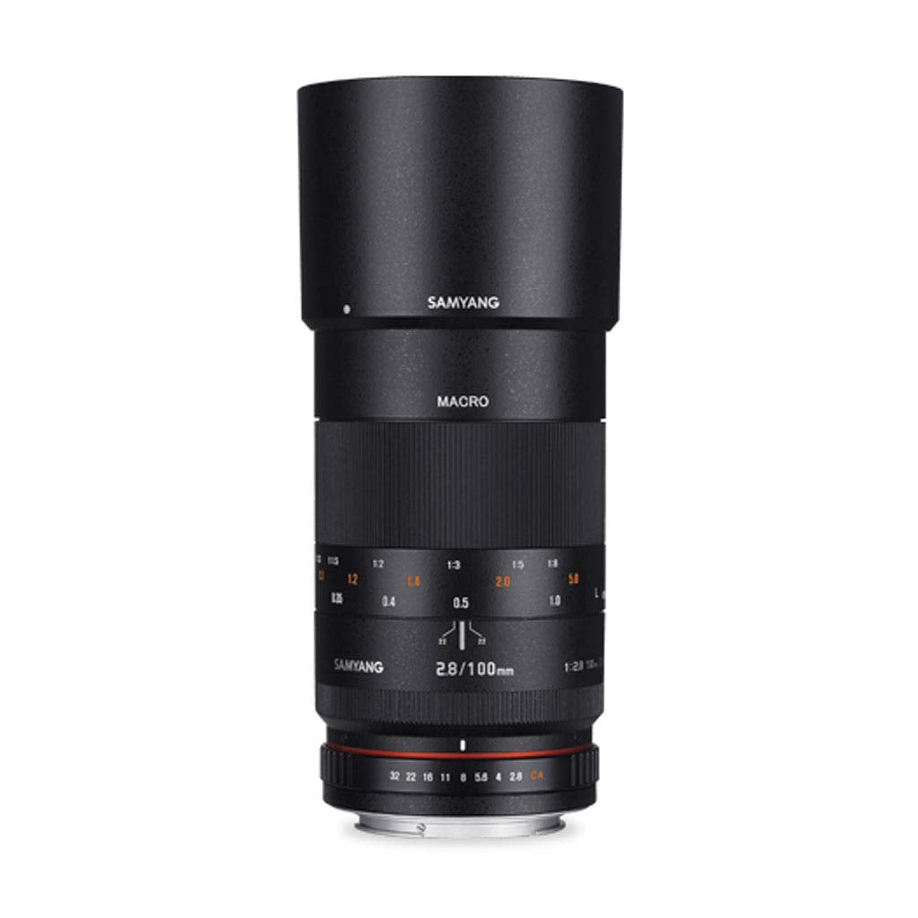 Samyang F1112303101 - Objetivo fotográfico DSLR para Nikon Ae AS IF UMC (Distancia Focal Fija 100mm, Apertura f/2.8-32, diámetro Filtro: 67mm), Negro