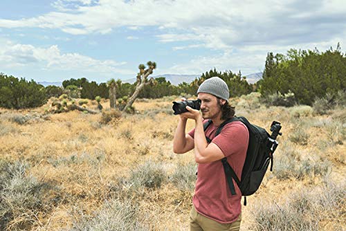 Sony Cámara sin espejo Sony Alpha 6600 | APS-C (enfoque automático rápido de 0,02 s, estabilización óptica de imagen de 5 ejes en la carcasa)