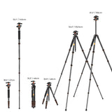 K&F CONCEPT Trípode Cámara de Carbono Compacto con Rótula de Bola 360°Compatible con Cámara DSLR, Carga Máxima: 15KG (A255C2+BH-36L)