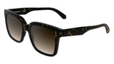 CALVIN KLEIN JEANS CKJ25624S Sunglasses, Dark Havana, Talla única para Mujer