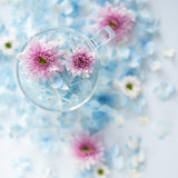 FUJINON XF50mmF1.0 R WR