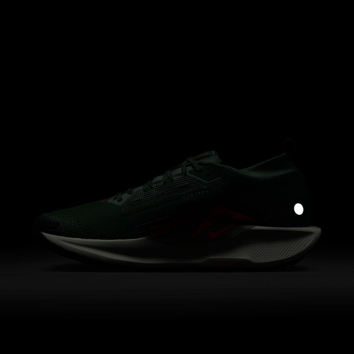 NIKE Pegasus Trail 5 Gore-Tex, Sneaker Hombre, Fir Bright Crimson Clay Green, 45.5 EU