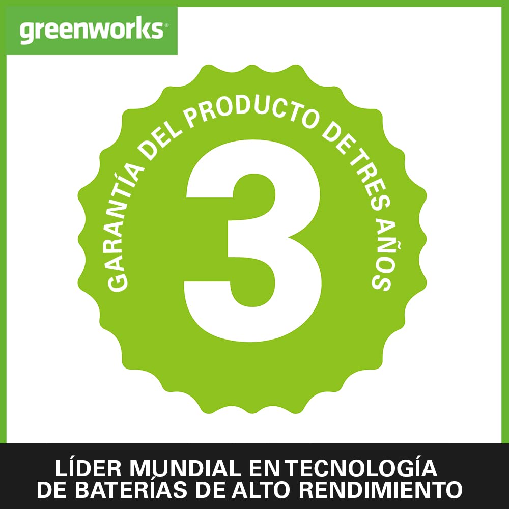 Greenworks G24PSH 2/1 Sierra y Cortasetos Pértiga a Batería con Correa Hombro, Barra Sierra 20 cm, Cortasetos 51 cm y Cuchillas Doble Acción SIN Batería 24 V ni Cargador, 3 Años de Garantía