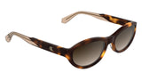 CALVIN KLEIN JEANS CKJ25618S Sunglasses, Havana, Talla única para Mujer