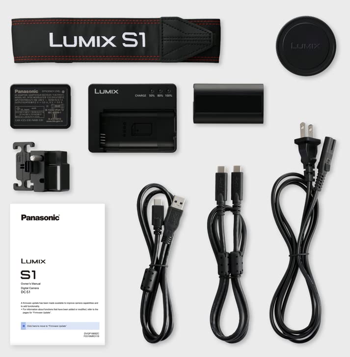 Panasonic Lumix DC-S1 - Cámara Digital de 25,28 megapíxeles Black