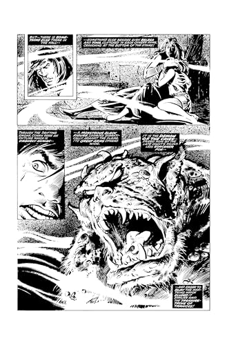 SAVAGE SWORD OF CONAN ORIG OMNIBUS REG 04 (The Savage Sword of Conan: The Original Comics Omnibus)