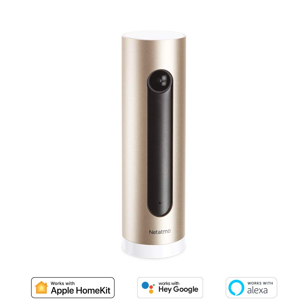 Netatmo Cámara de Vigilancia Interior con Soporte de Pared, WiFi, AI Reconocimiento Facial, Detección de Movimientos, Transmisión en Vivo, Visión Nocturna, FHD 1080p, Sin Costo Adicional, NSC-AMZ