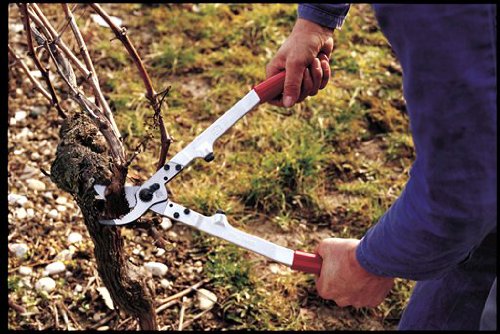 FELCO 20 podadera bypass universal profesional, corte de ramas hasta 35 mm, mangos ergonómicos de aluminio forjado, hoja de acero templado 65 mm, 430 mm, 830 g, fabricación suiza