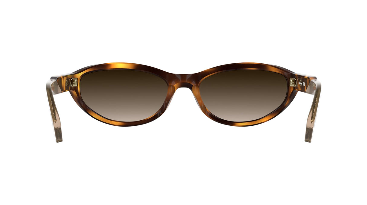 CALVIN KLEIN JEANS CKJ25618S Sunglasses, Havana, Talla única para Mujer