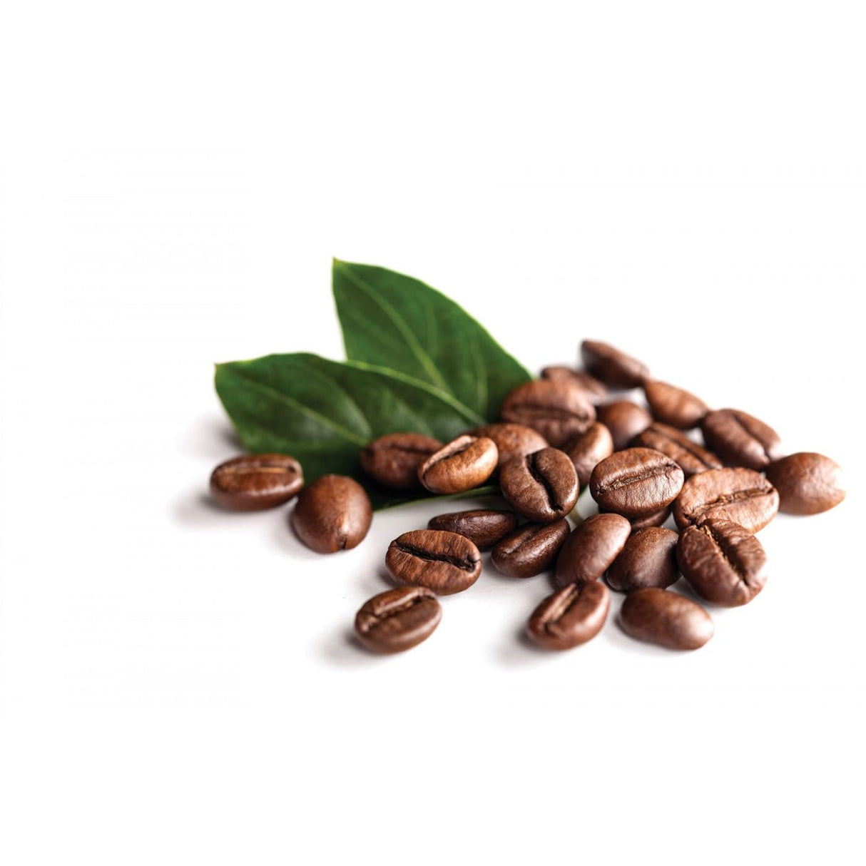 Techwood - Cafetera de grano