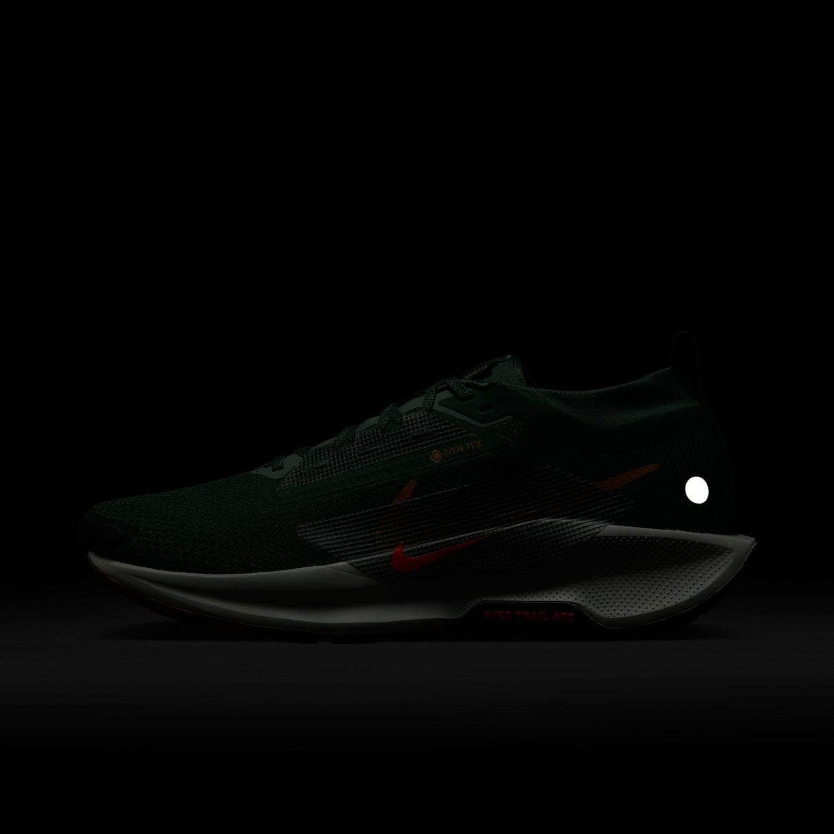 NIKE Pegasus Trail 5 Gore-Tex, Sneaker Hombre, Fir Bright Crimson Clay Green, 45.5 EU