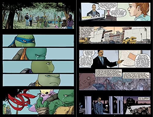 Teenage Mutant Ninja Turtles: The IDW Collection Volume 14 (TMNT IDW Collection)