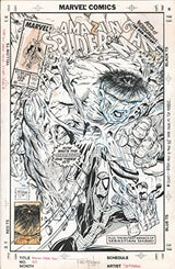 Todd McFarlane's Spider-Man Artist’s Edition (Artist Edition)