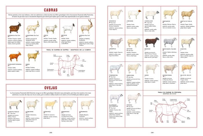 Sabores de Italia: Tutta la cucina italiana (COCINAS DEL MUNDO)