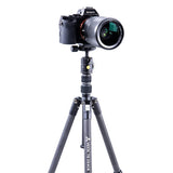 Vanguard Vesta TB 204CB - Trípode Viaje Carbono Compacto
