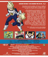 Dragon Ball Z Box 9 (Episodios 160 a 180) [Bluray] [Blu-ray]