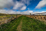 Samyang - Objetivo para cámara, 14 mm F 2.8 MK2 Nikon