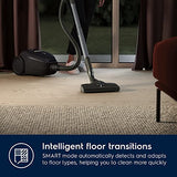Electrolux PD82-GREEN Aspiradora con bolsa, potencia máx. 600 W, sistema de aspiración AeroPro, 2 cepillos, accesorio 3 en 1, color negro