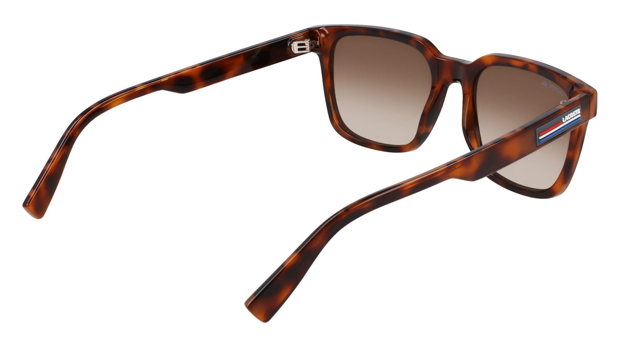 Lacoste Gafas de Sol L6028S 214 HAVANA 54/19/145 Hombre