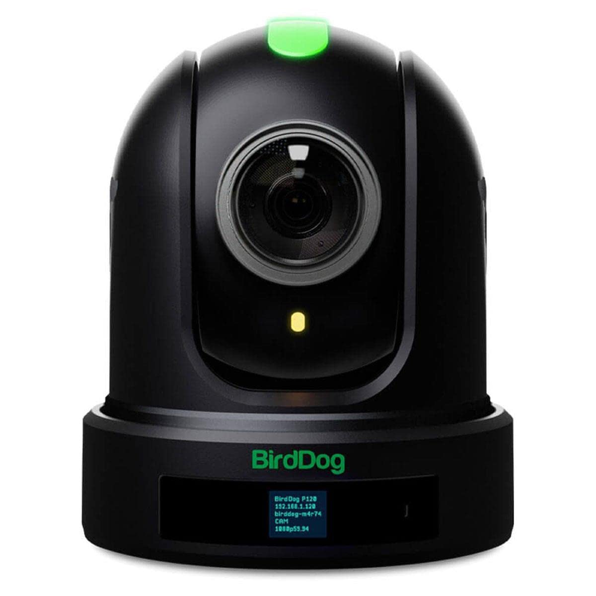 BirdDog P120 PTZ Camera 1080P with 20x Zoom, OLED Screen