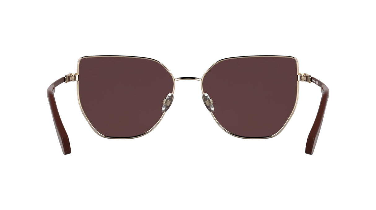 Calvin Klein Jeans Women's Sunglasses CKJ25209S - Rose Gold with Solid Wine Lens